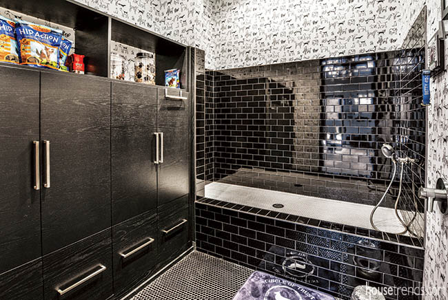 This room's for the dogs—literally