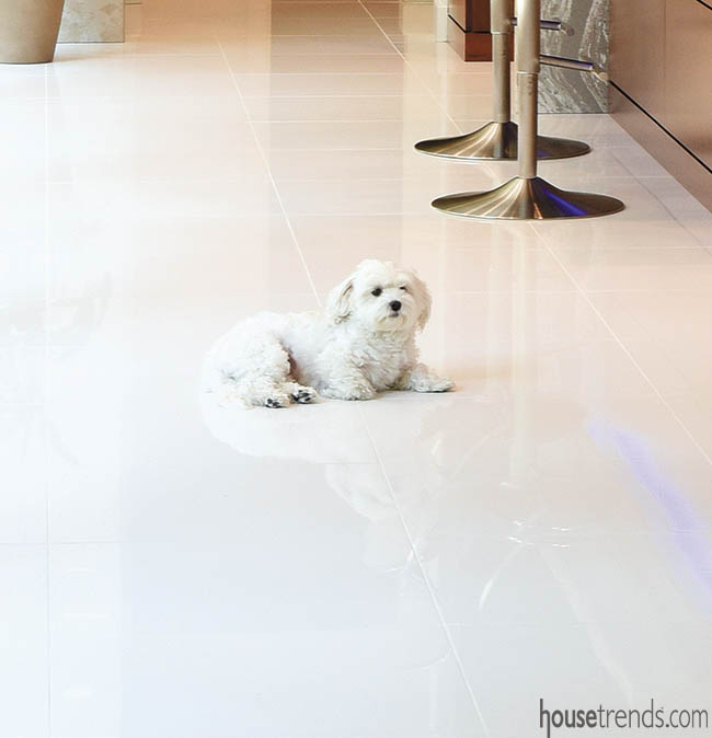 Kitchen with white porcelain tile floor