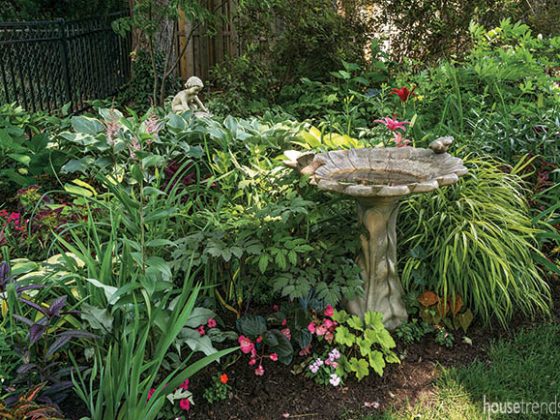 Garden plants add a variety of color and texture
