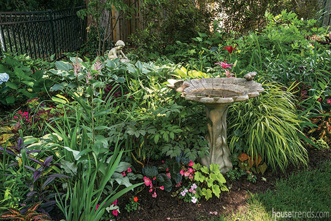 Garden plants add a variety of color and texture