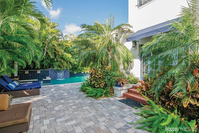 Native plants thrive in a back yard