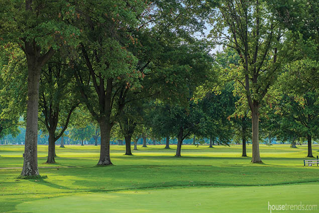 New home gets a golf course view