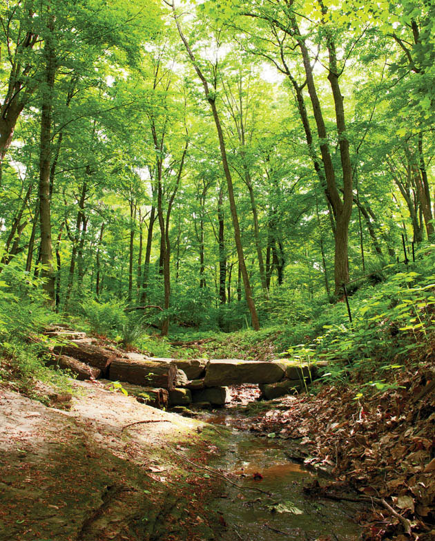 Landscaping with rocks helps to deter Mother Nature
