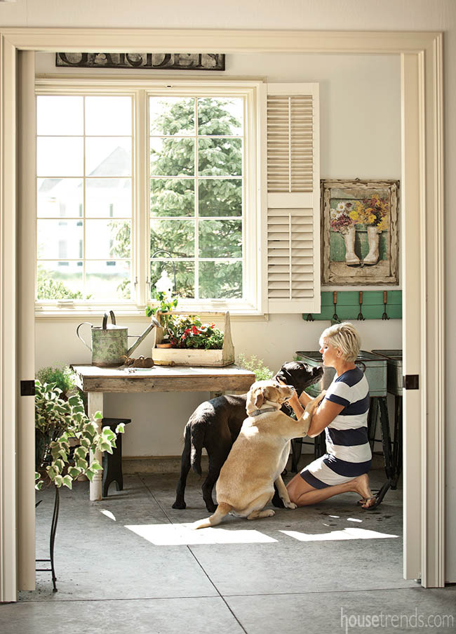 Dogs accompany owner to work