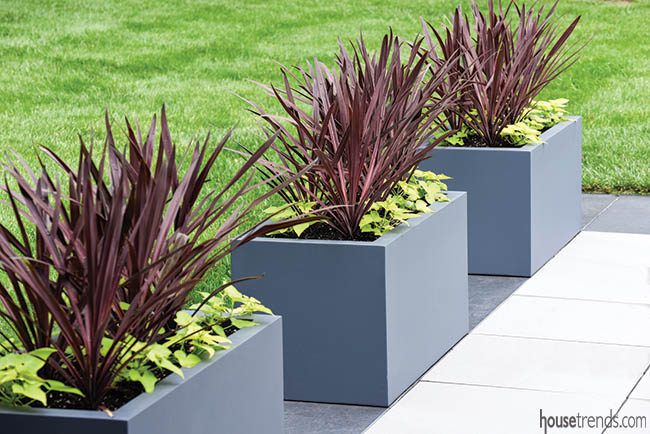 Planters line a walkway