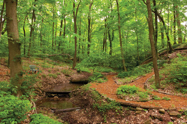 Owner's backyard ideas protect the environment