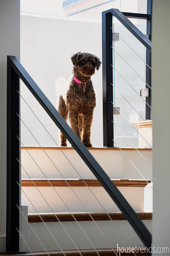 Cables add contemporary vibe to a staircase