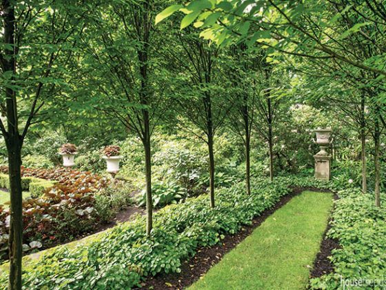 Walking path offers glimpse of an oval garden