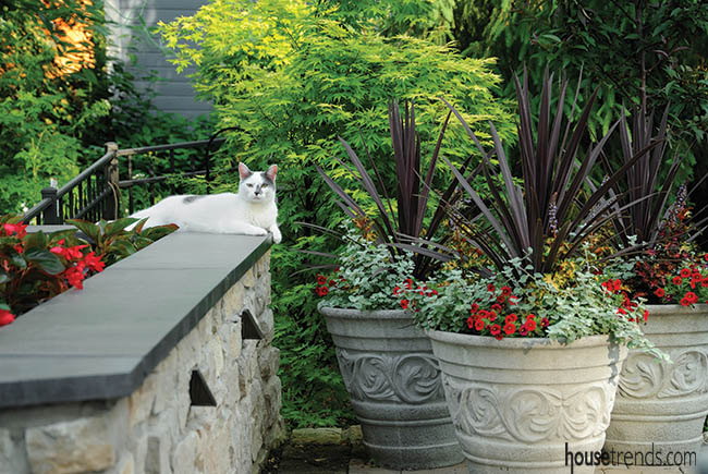 Planters add pops of color