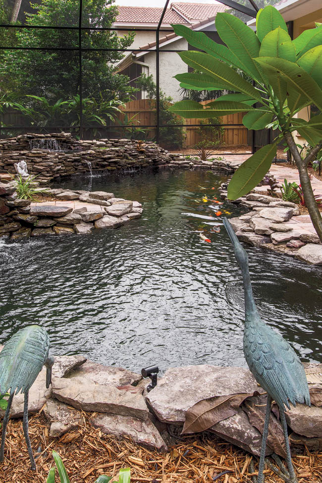 Koi pond features exotic fish