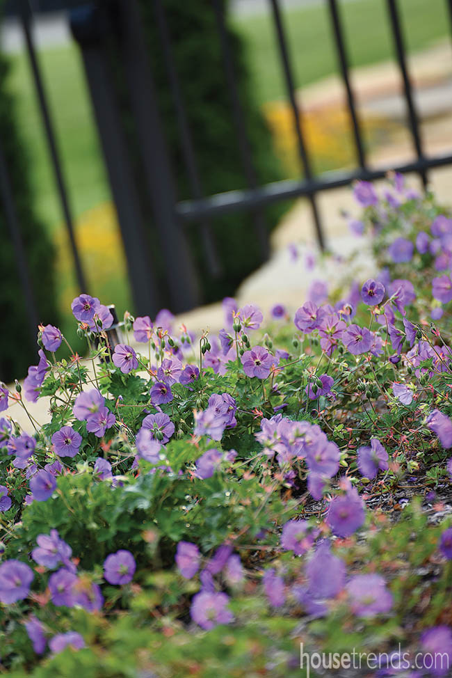 Flowers add little pops of color to a patio