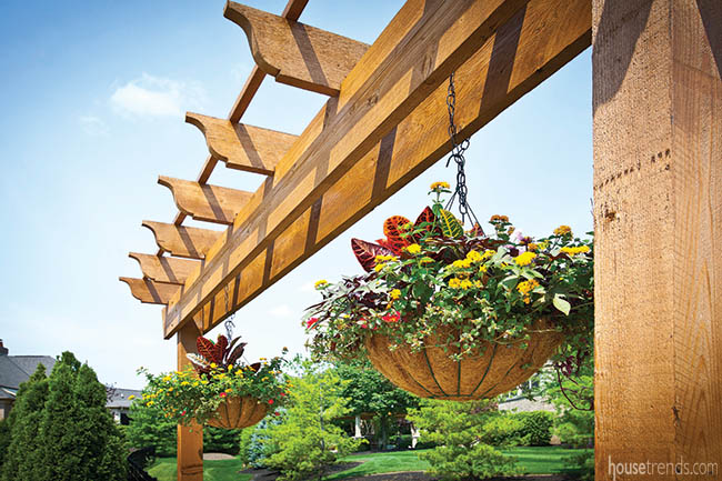 Pergola adds privacy to a back yard