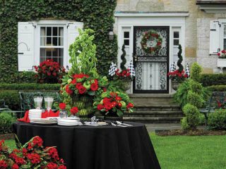 Table settings with a specific theme