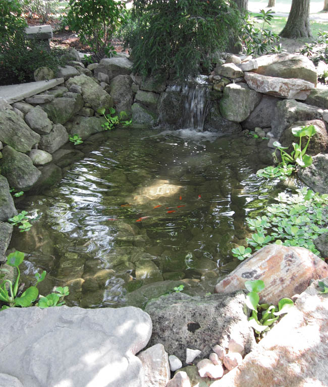 A pond adds visual interest to a landscape