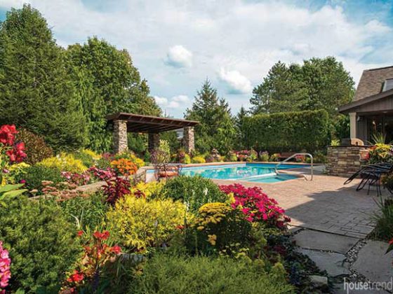 Colorful perennials in a back yard