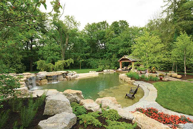 Pond perfect for an afternoon swim