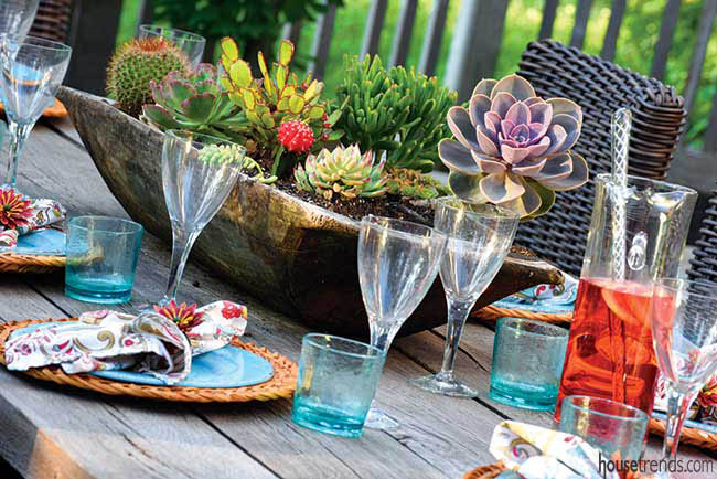 Succulents dress up an outdoor table