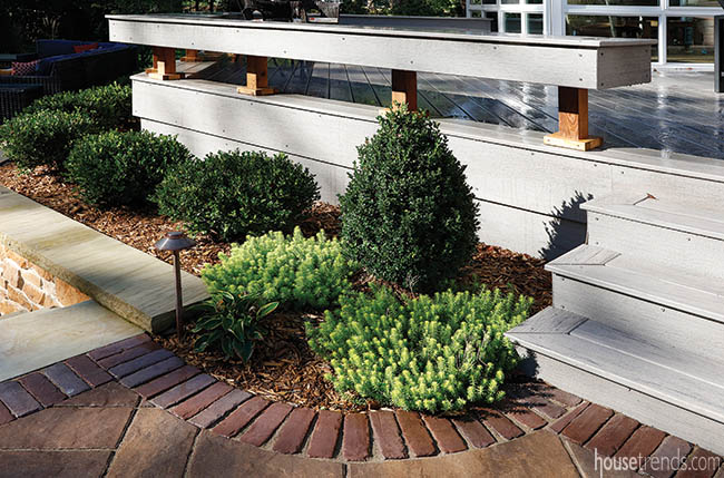 Plants line a back yard deck