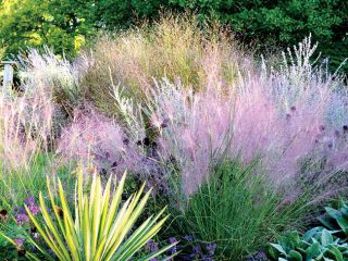 Grass softens a landscape design