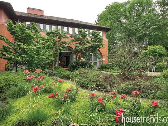 Roses add small pops of color to gardens