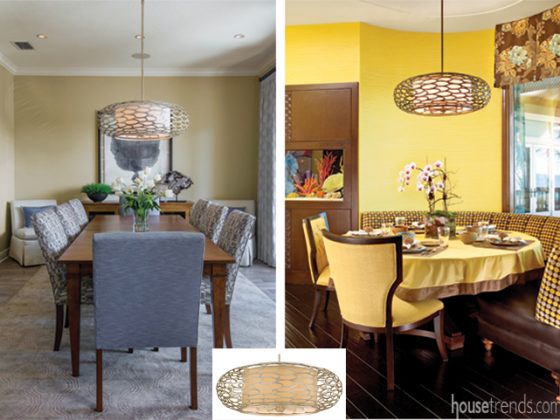 Two Tampa homes with same chandelier