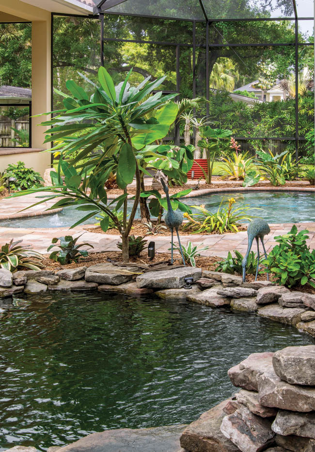 Landscape ideas soften a backyard design
