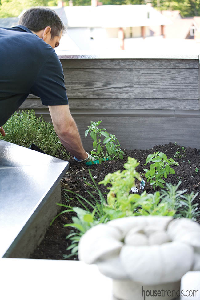 Deck plays host to an herb garden