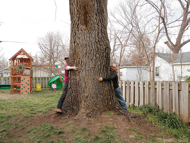 Large tree looms over a yard
