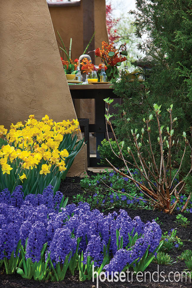 Perennial flowers perk up a patio