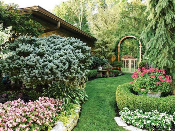 Begonias add color along a walking path