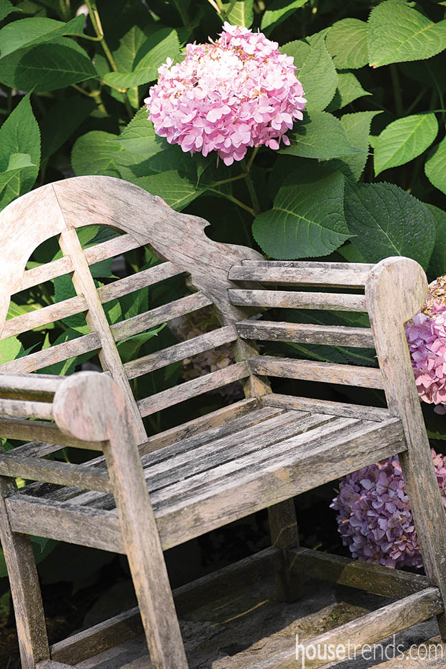 Perennial flowers color a back yard