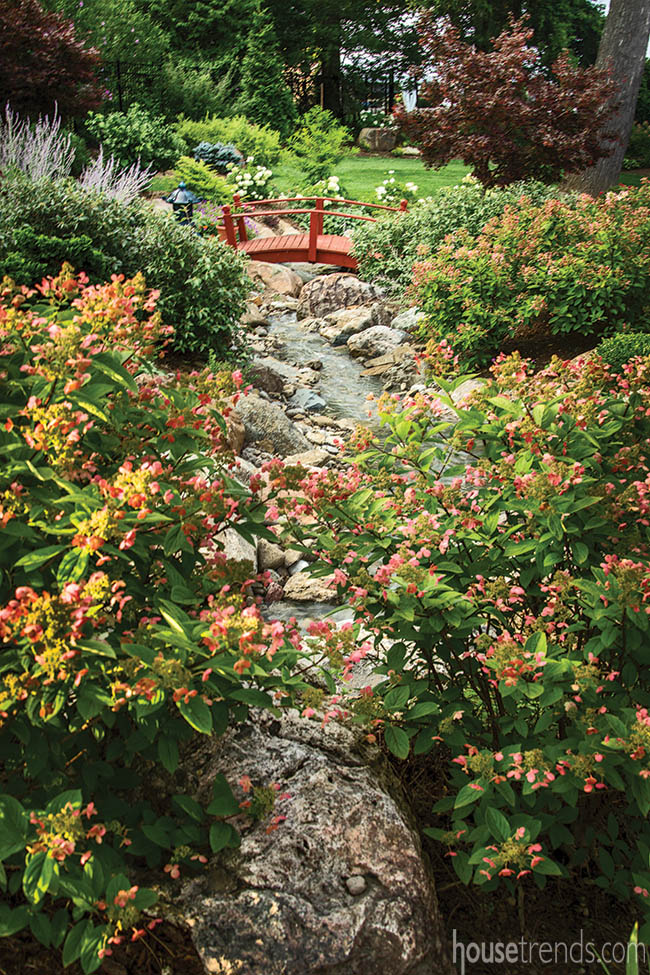 Hydrangea plants dress up a creek bed