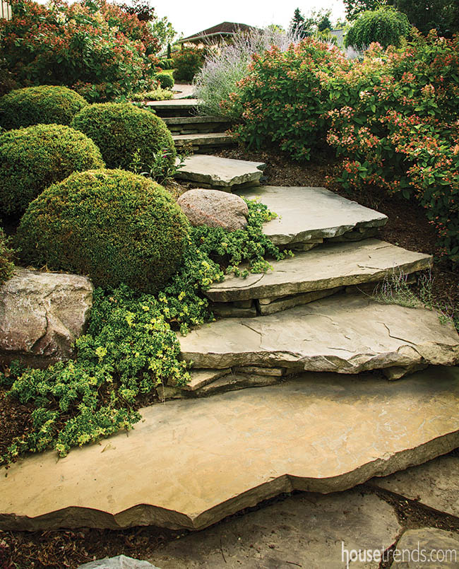 Landscaper describes plants that decorate a back yard