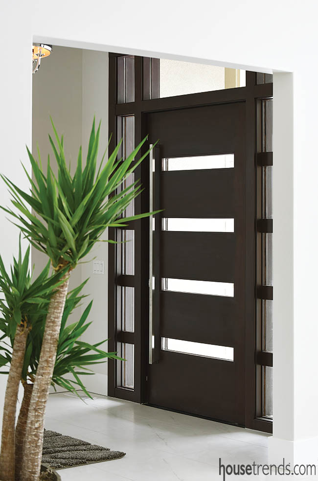 Pins replace hinges for this entry door