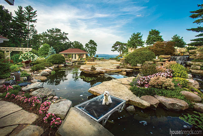 Pond dominates a spacious back yard