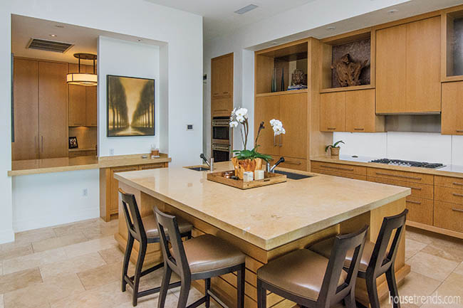 High-end appliances thrive in a casual kitchen