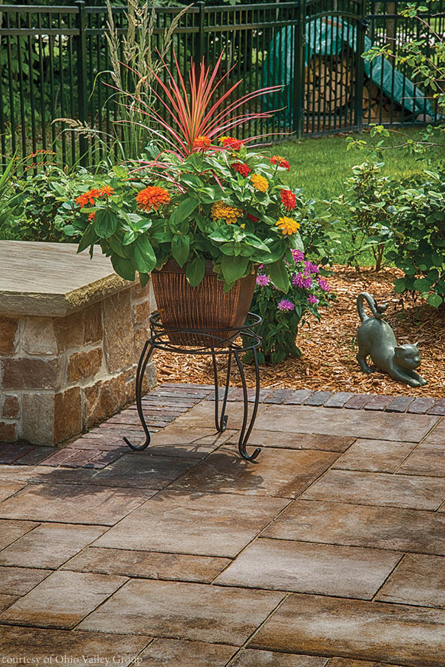 Colorful flowers add life to a back yard