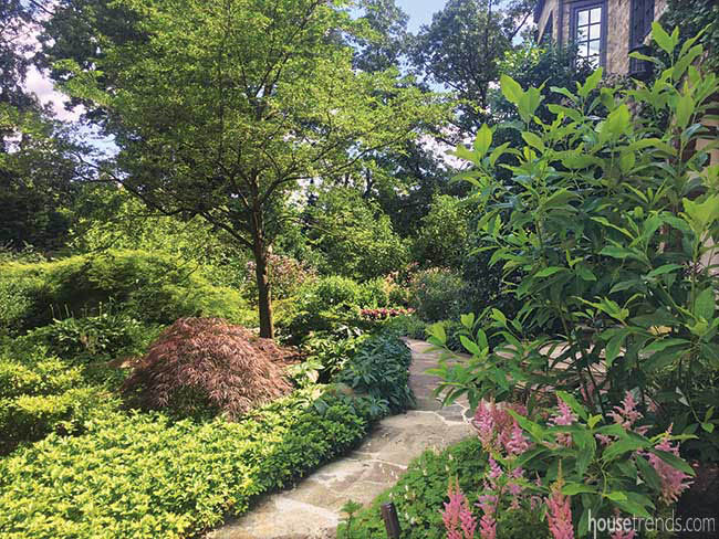 Plants add privacy to a garden