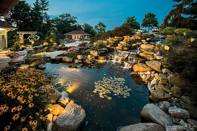 Spacious garden glows under landscape lights