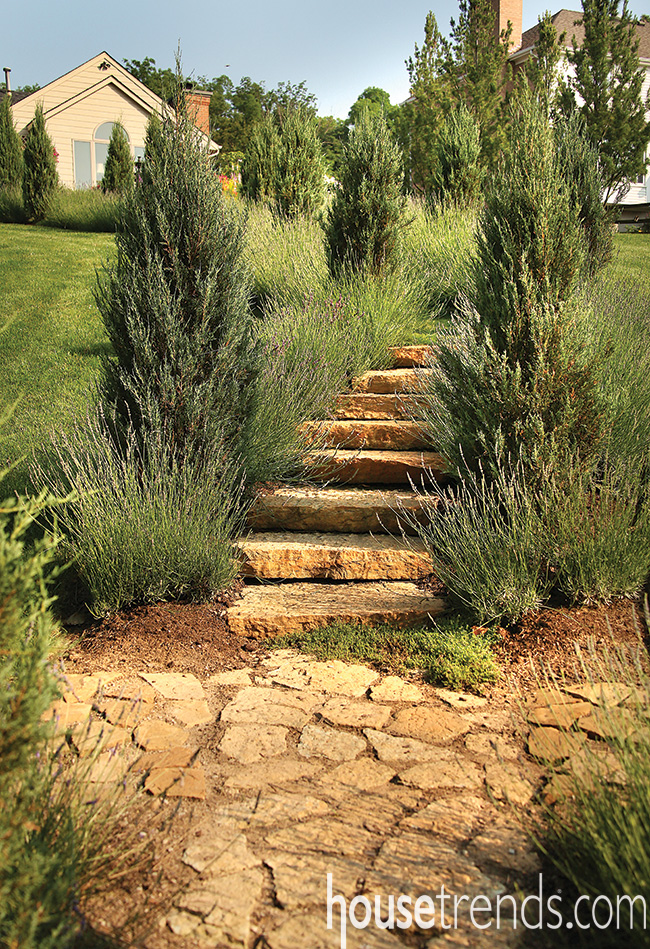 Lavender lines path to a private patio