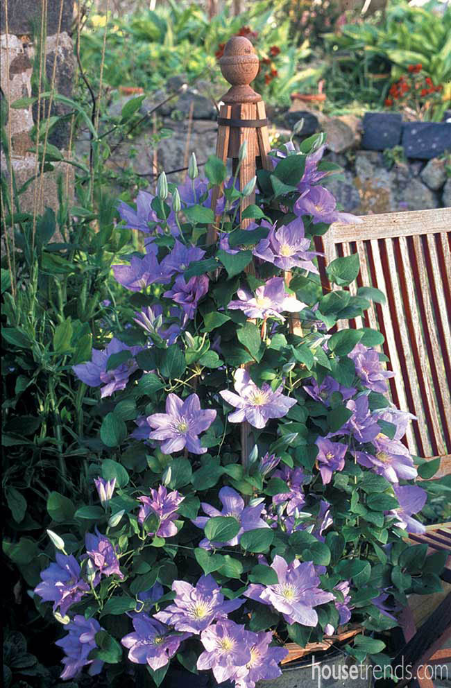 Colorful plants bloom most of the year