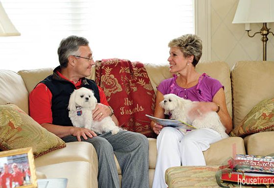 Throw pillows hint at a home's color scheme