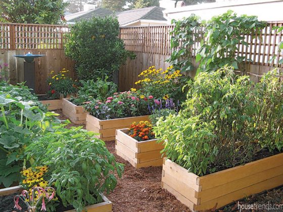 Raised gardens soak up the sun