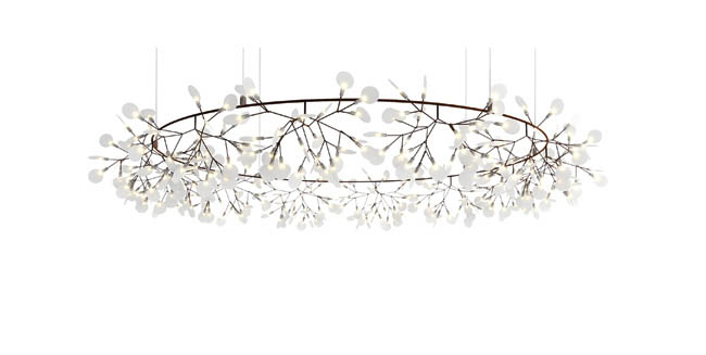 Lamp reflects a natural design