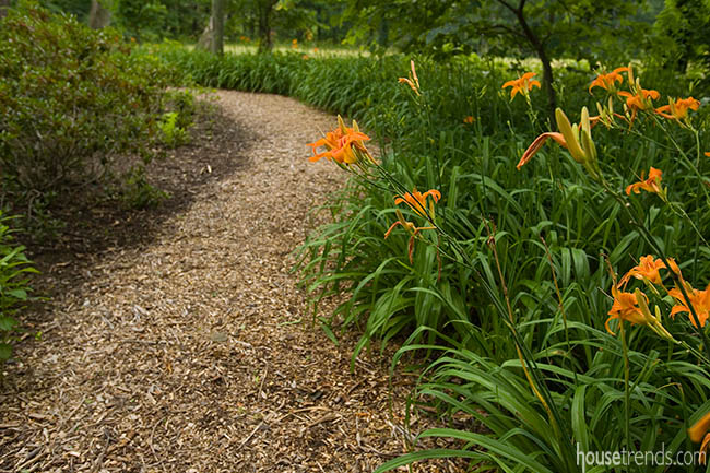 Flowers line a walking path