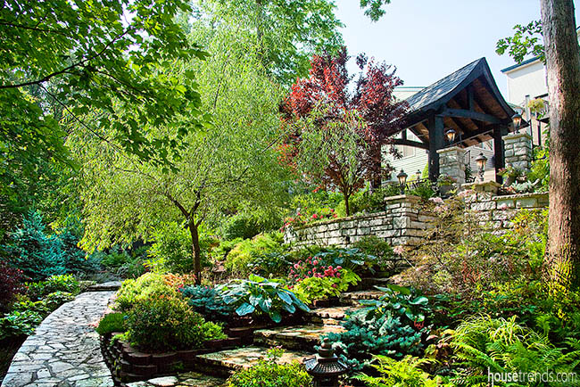 Plants add color to a back yard design