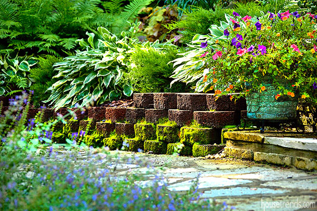 Moss decorates a retaining wall