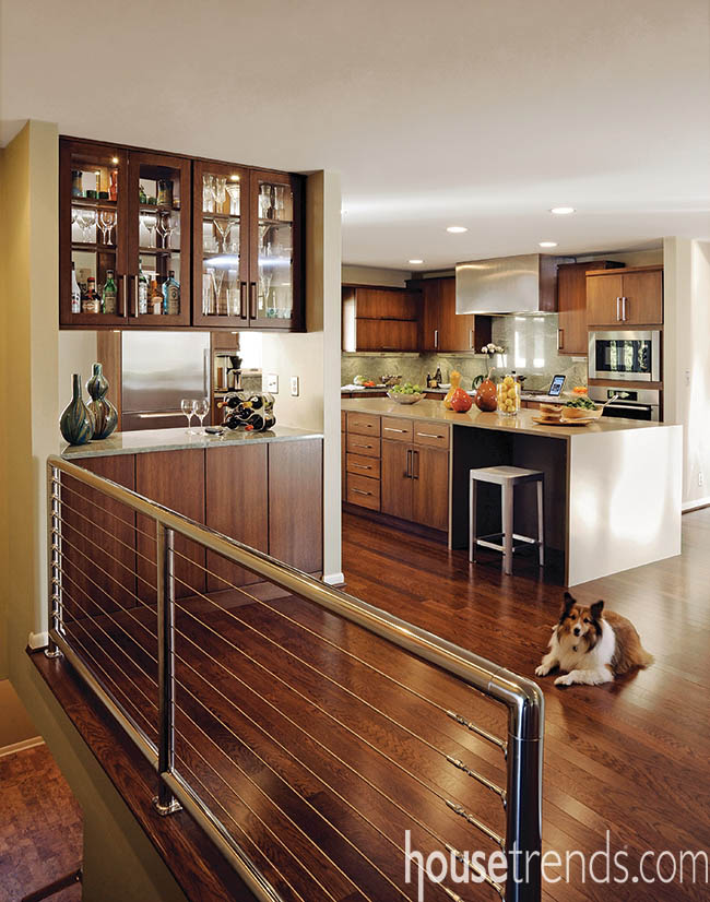 Pooch finds comfort in a kitchen design