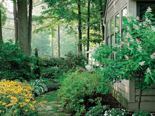Landscape gets privacy through a