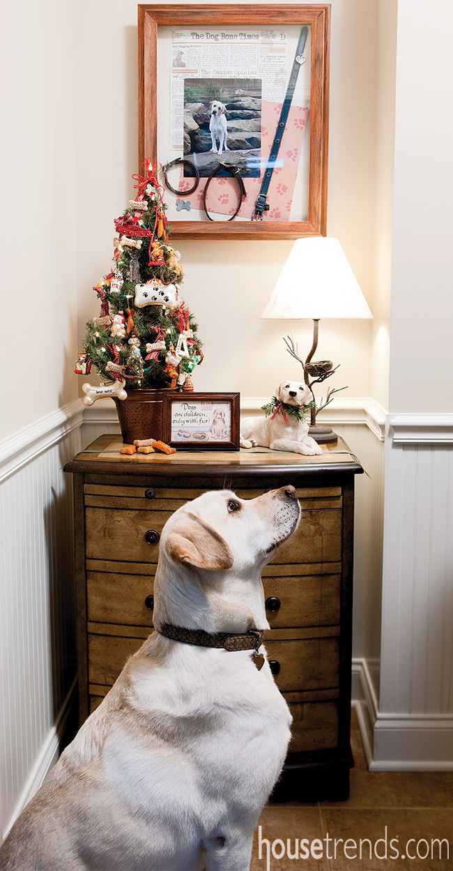 Christmas tree is a treat for everyone—especially the dog